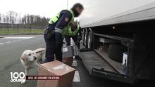 image: 100 jours avec les douanes en action