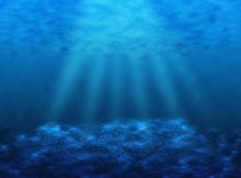 Abysses, la conquête des fonds marins image: Abysses, la conquête des fonds marins