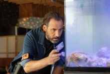 image: Bêtes de flic