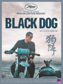 image: Black Dog