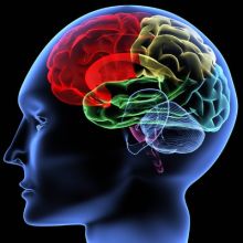 Brain Games : testez votre cerveau image: Brain Games : testez votre cerveau