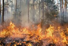 image: Catastrophes naturelles : piégés au coeur du chaos