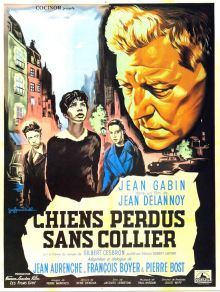 Chiens perdus sans collier image: Chiens perdus sans collier