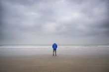 image: David Attenborough : l'appel de l'océan