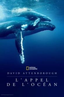image: David Attenborough : l'appel de l'océan