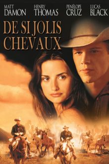 image: De si jolis chevaux