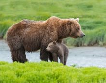 image: Découvrir le monde