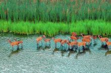 image: Die geheime Welt der Tiere