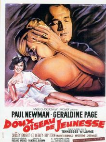 image: Doux oiseau de jeunesse