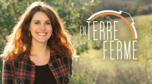 En Terre ferme image: En Terre ferme