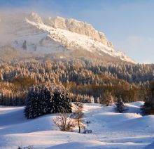 Enquêtes de région image: Enquêtes de région