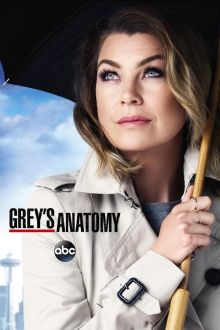 Grey's Anatomy image: Grey's Anatomy