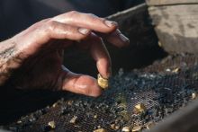 image: Guerilla Gold Rush : Deadly Endeavor