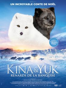 Kina & Yuk : renards de la banquise image: Kina & Yuk : renards de la banquise