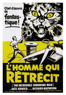 L'homme qui rétrécit image: L'homme qui rétrécit