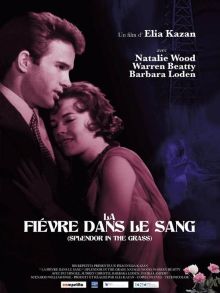 image: La fièvre dans le sang