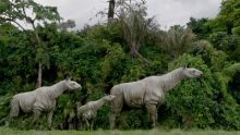 La terre des géants image: La terre des géants