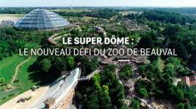 image: Le super dôme : le nouveau défi du zoo de Beauval