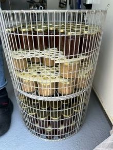 image: Les fées anti-gaspi en Provence verte