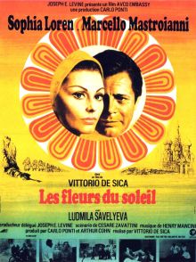 image: Les fleurs du soleil