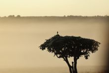 Les îles, laboratoires de la nature image: Les îles, laboratoires de la nature