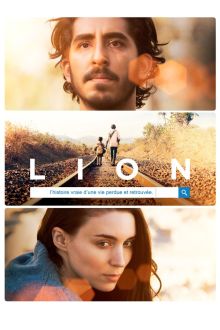 Lion image: Lion