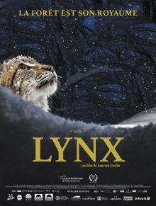 image: Lynx
