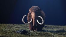 image: Mammouths, dinosaures : Peut-on vraiment les faire revenir ?