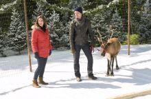 image: Mon Noël en Alaska