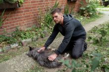 image: Morden im Norden: Weil du böse bist