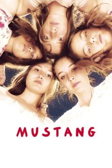 image: Mustang