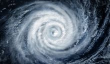 image: Nature meurtrière