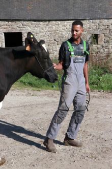 image: Nolan - Devenir éleveur en Bretagne, la génération d'après