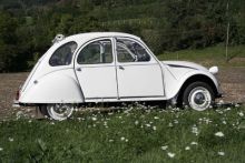 image: Paysans cinéastes