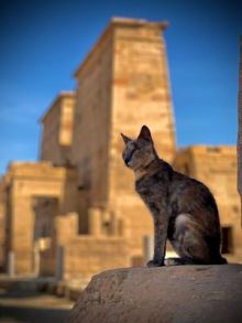 image: Philae, le sanctuaire englouti