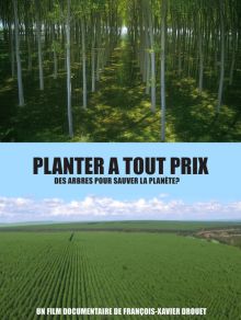 Planter à tout prix, des arbres pour sauver la planète ? image: Planter à tout prix, des arbres pour sauver la planète ?