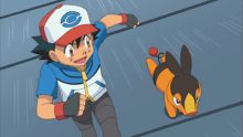 image: Pokémon : Ligue Indigo