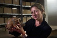 image: Quand Homo sapiens peupla la planète