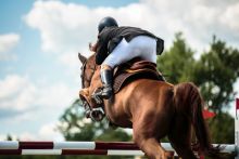 image: Royal Windsor Horse Show