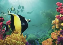 image: Royaumes d'Asie