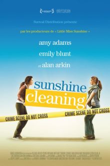 image: Sunshine Cleaning