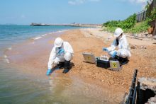 image: Tchernobyl, un nuage sur la Corse