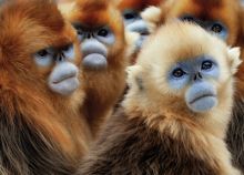 Une planète, deux mondes sauvages image: Une planète, deux mondes sauvages