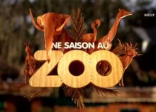 image: Une saison au zoo