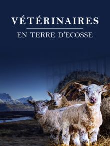 image: Vétérinaires en terre d'Ecosse