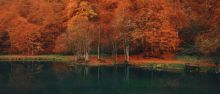 Voir l'automne, une saison en France image: Voir l'automne, une saison en France