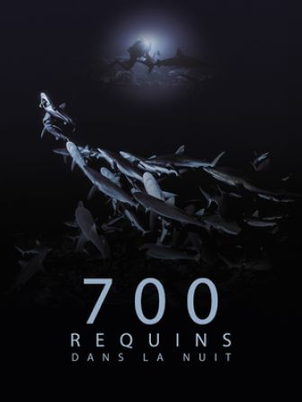 image: 700 requins dans la nuit