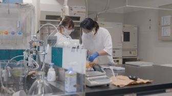 image: Accident nucléaire de Fukushima : 72 heures de chaos