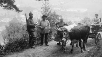 image: Alsace, dans la tourmente de l'Histoire