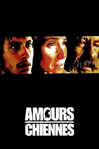 image: Amours chiennes